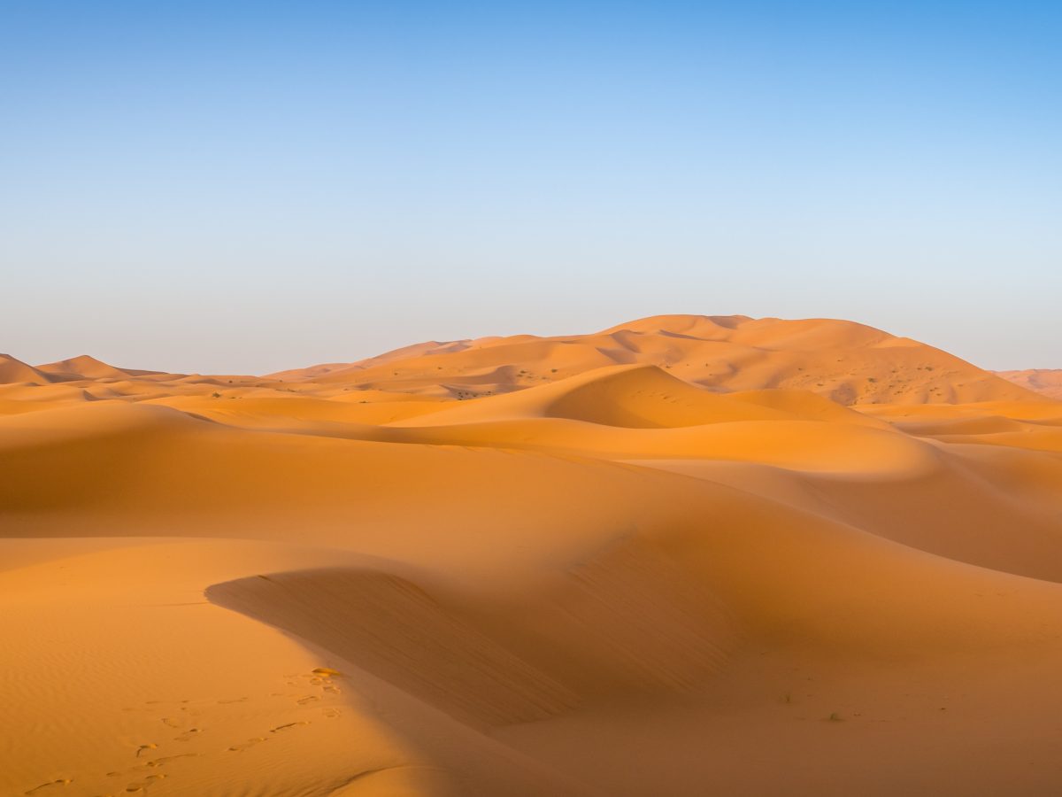 Sahara desert under the sunlight and a blue sky in Morocco in Africa