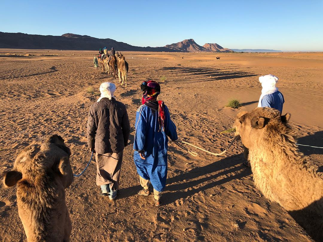 Day10: Merzouga-Rissani-Todgha Gorges-Dades Valley