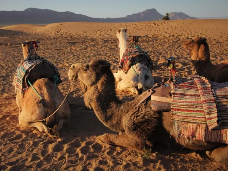 First day: Marrakech, Ait Ben Haddou, Ourzazate, Zagora