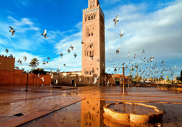 Day6: Marrakech