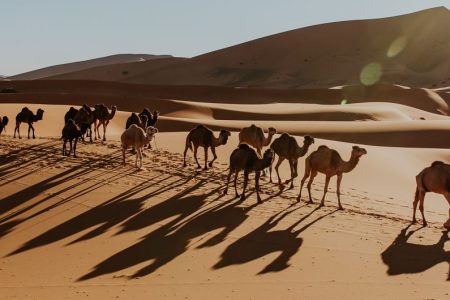 Imperial Cities from Agadir