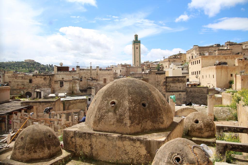 D3: Excursion Meknes-volubilis- fes