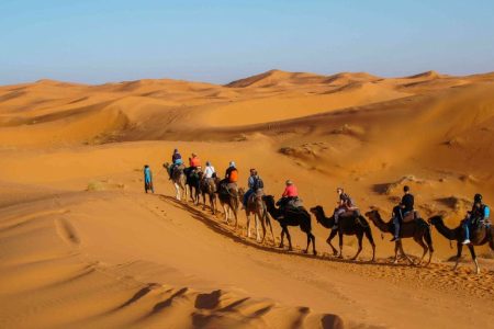 South of Morocco Full Experience