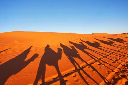 Colors Of Morocco