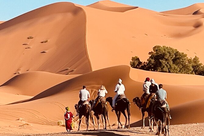 Day9: Merzouga-Off Road Excursion- Overnight in Desert Camp