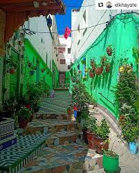 Day 3: Fes-Meknes-Volubilis-Ouazzane-Chefchaouen